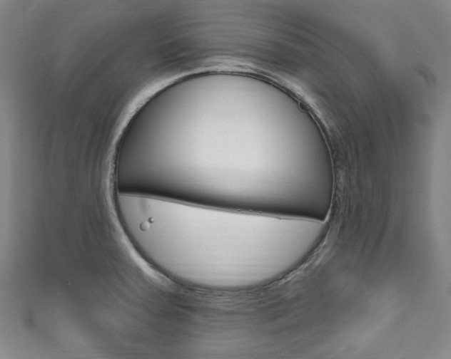 X0000111791379200907230940