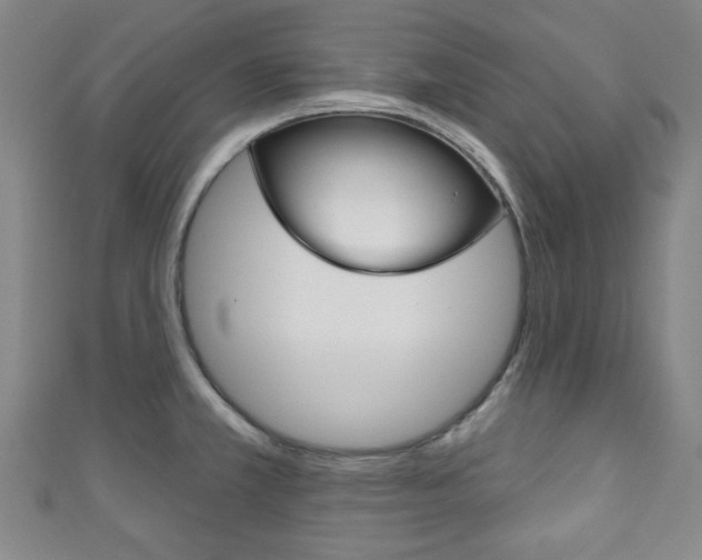 X0000111791381200907230940