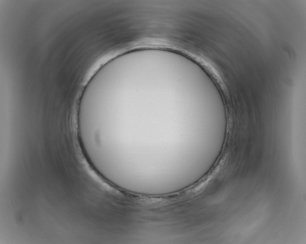 X0000111791382200907230940