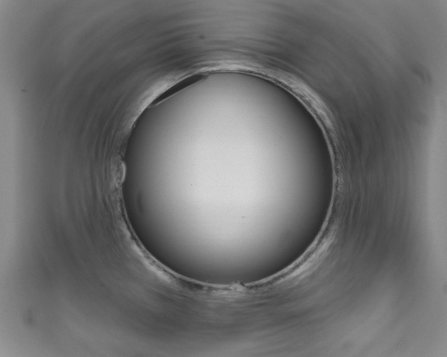 X0000111791385200907230940