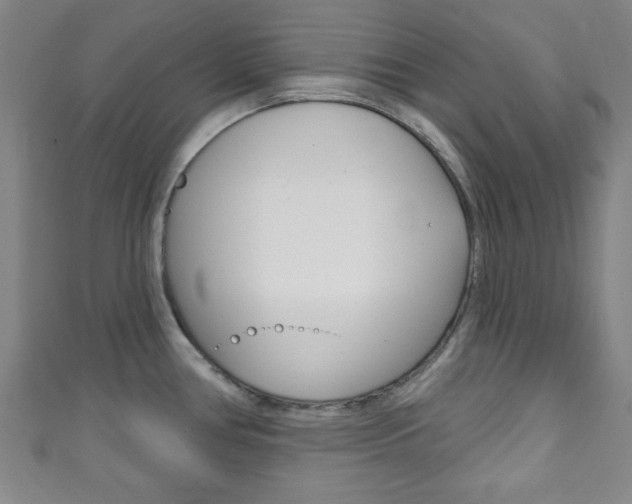 X0000111791386200907230940