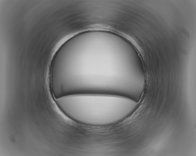 X0000111791387200907230940