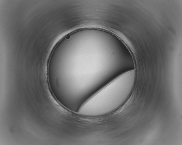 X0000111791388200907230940