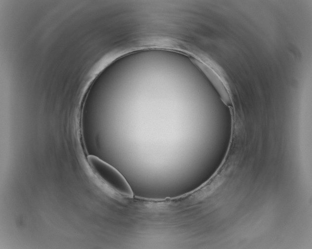 X0000111791389200907230940