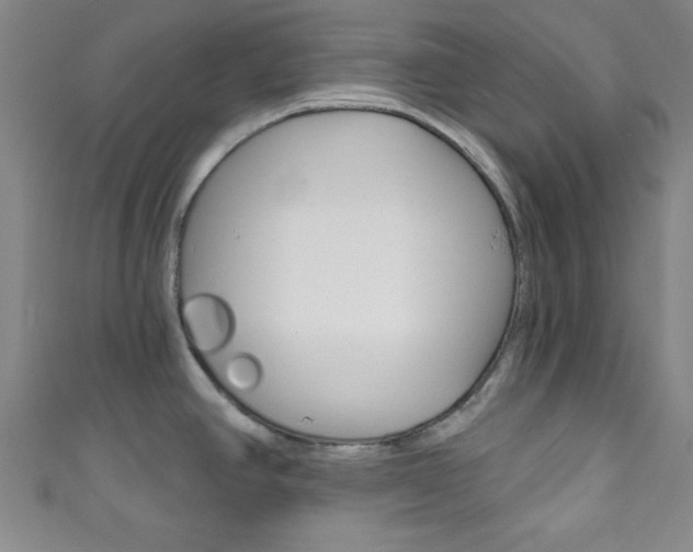 X0000111791390200907230940