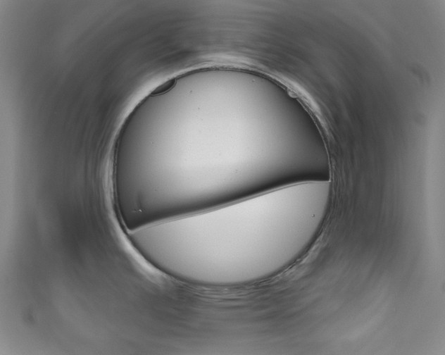 X0000111791391200907230940
