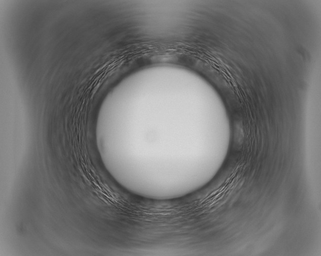 X0000111791393200907230939