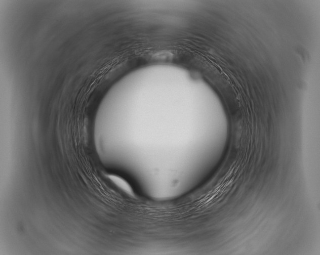 X0000111791394200907230939