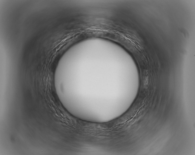 X0000111791397200907230939