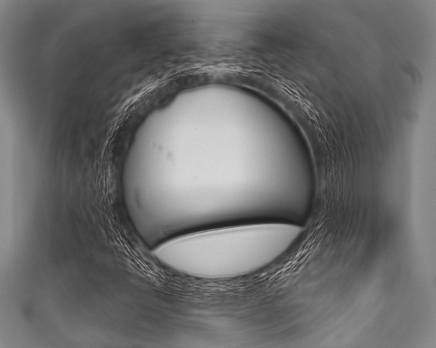 X0000111791398200907230939