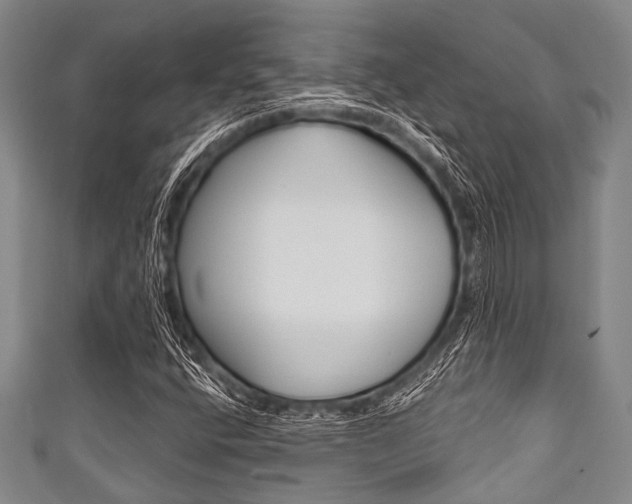 X0000111791400200907230939