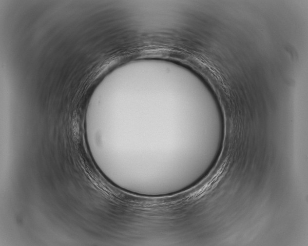 X0000111791401200907230939
