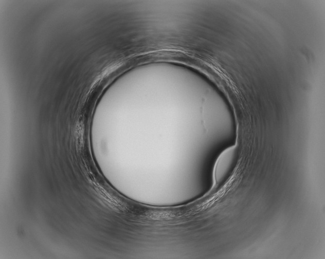 X0000111791402200907230939