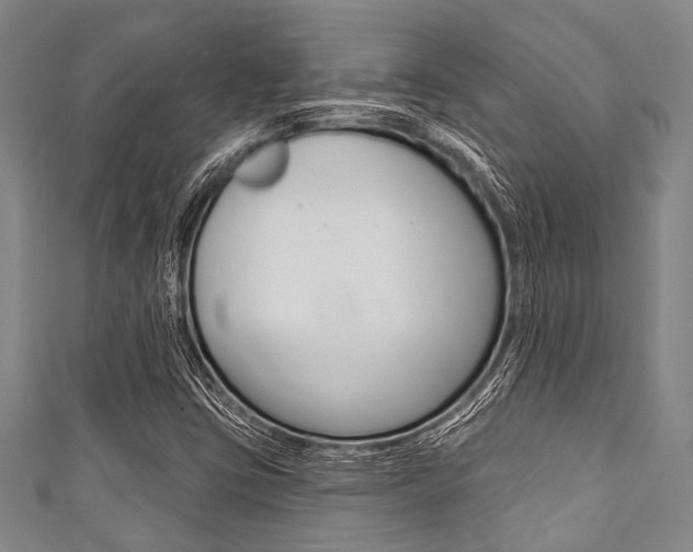 X0000111791403200907230939