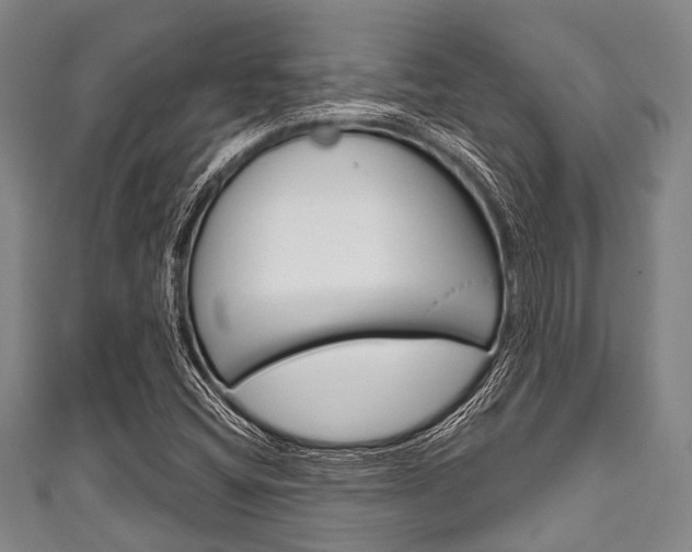 X0000111791404200907230939