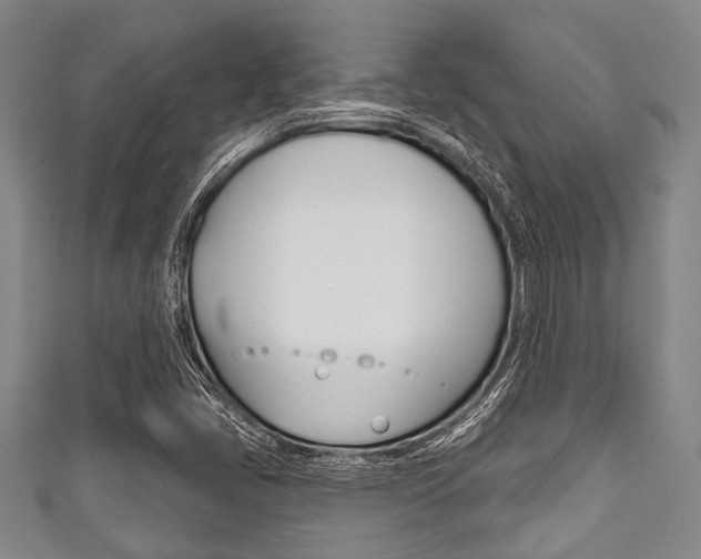 X0000111791405200907230939