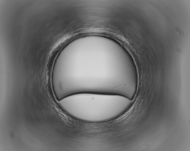X0000111791406200907230939