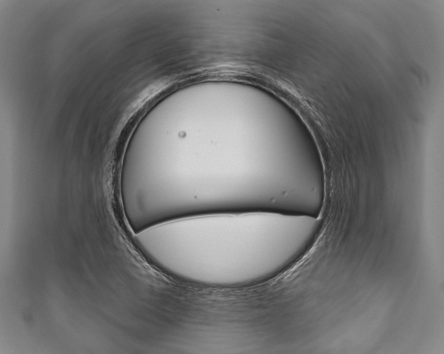 X0000111791410200907230939