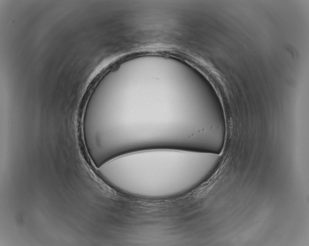X0000111791412200907230939