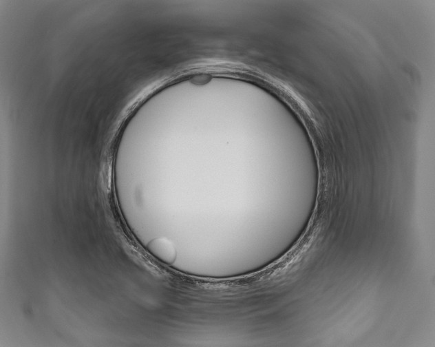X0000111791413200907230939