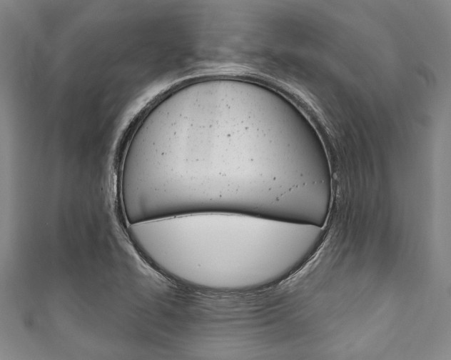 X0000111791414200907230939