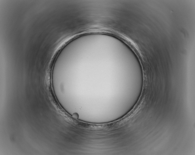 X0000111791415200907230939