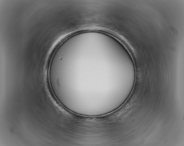 X0000111791416200907230939