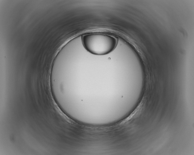 X0000111791417200907230939