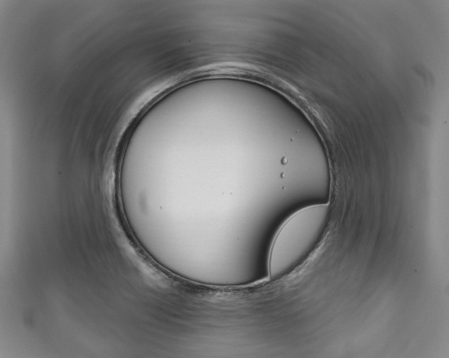 X0000111791418200907230939