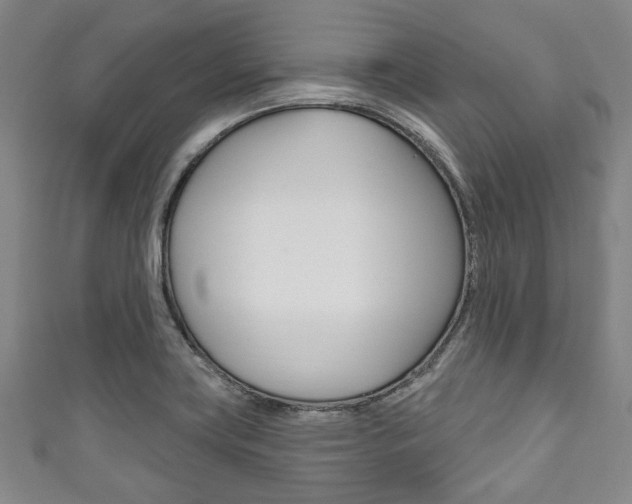 X0000111791419200907230939