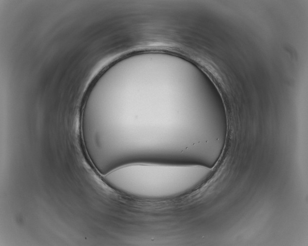 X0000111791420200907230939
