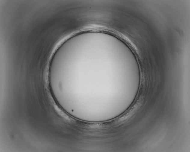 X0000111791421200907230939