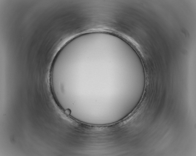 X0000111791423200907230939