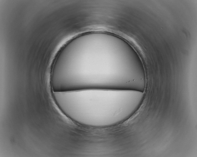X0000111791424200907230939