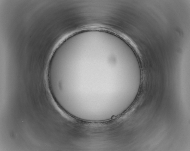 X0000111791429200907230939