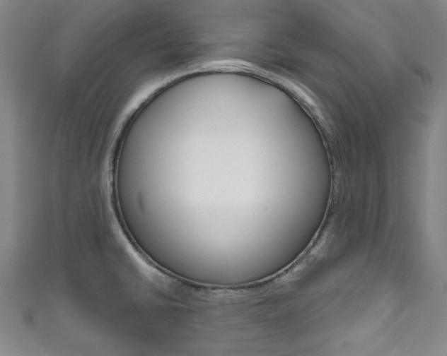 X0000111791430200907230939