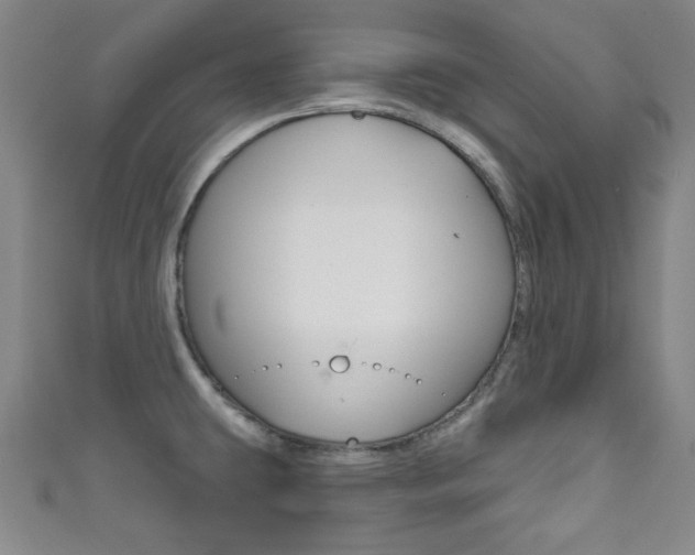 X0000111791431200907230939