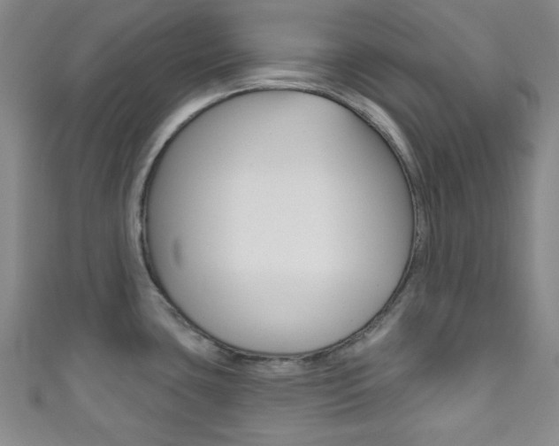 X0000111791435200907230939