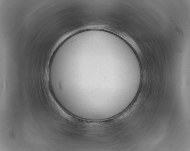 X0000111791436200907230939
