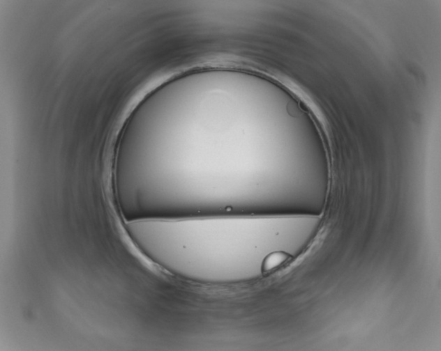 X0000111791437200907230939
