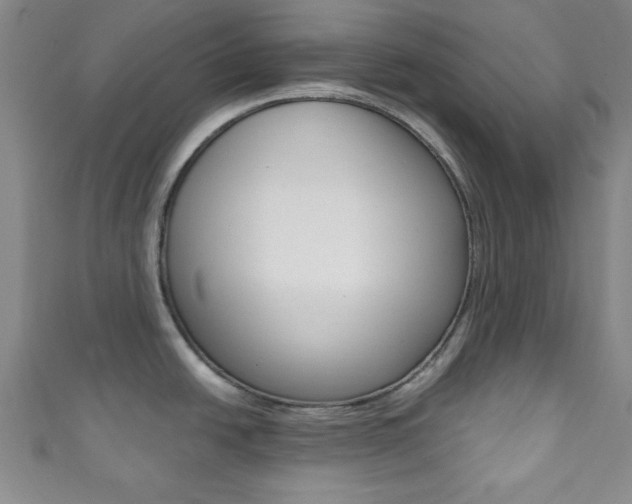X0000111791438200907230940