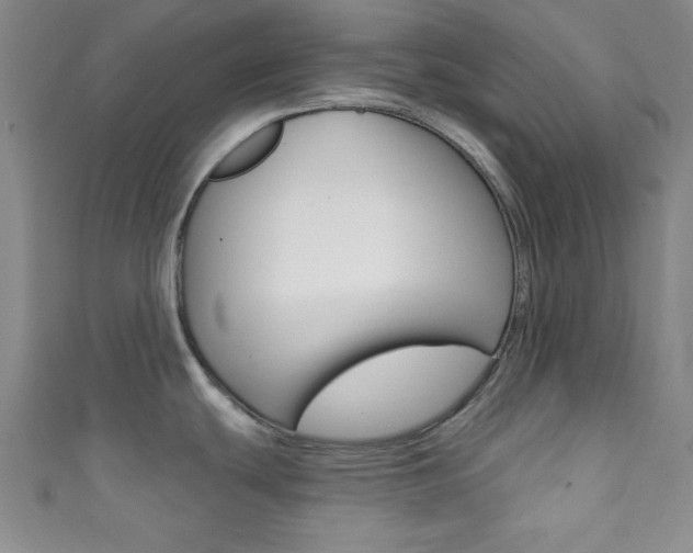 X0000111791439200907230940