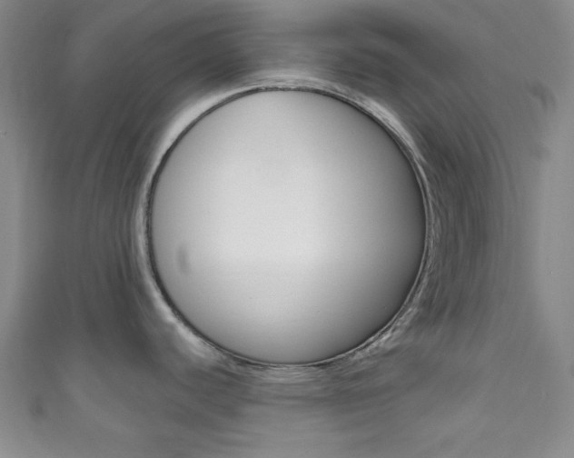 X0000111791440200907230940