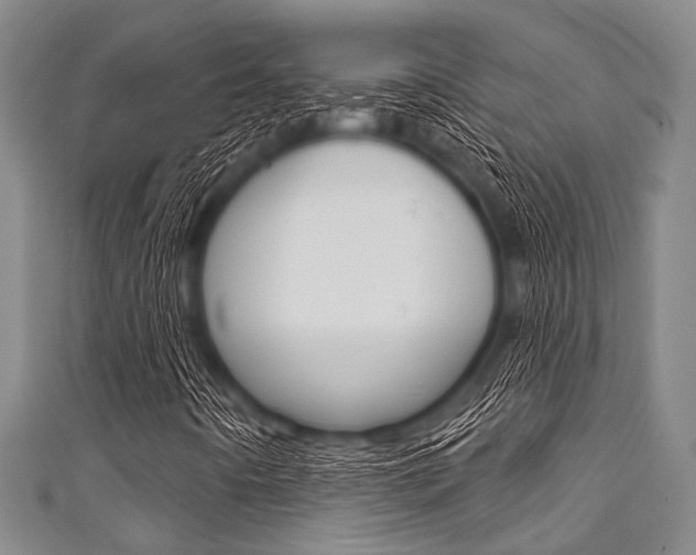 X0000111791442200907230939
