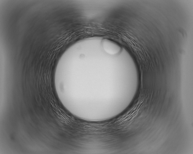 X0000111791443200907230939