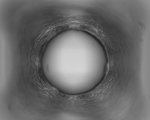 X0000111791445200907230938