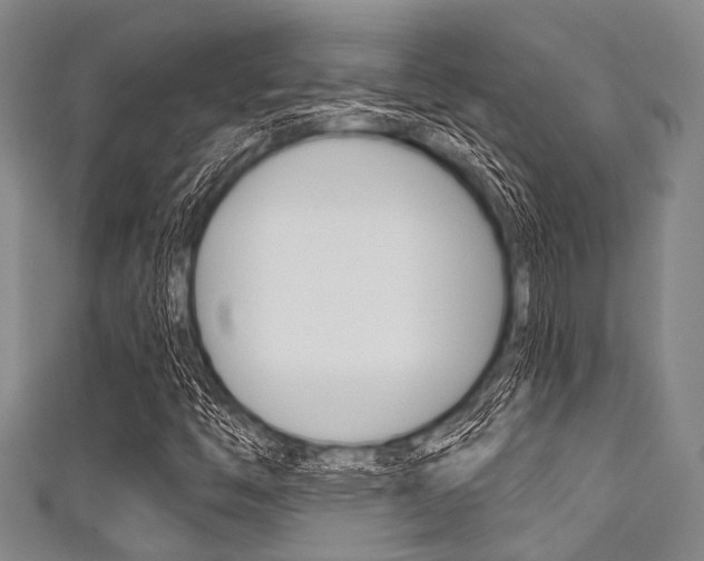 X0000111791446200907230938