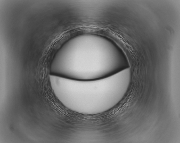 X0000111791447200907230938