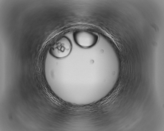 X0000111791448200907230938