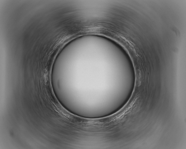 X0000111791449200907230938